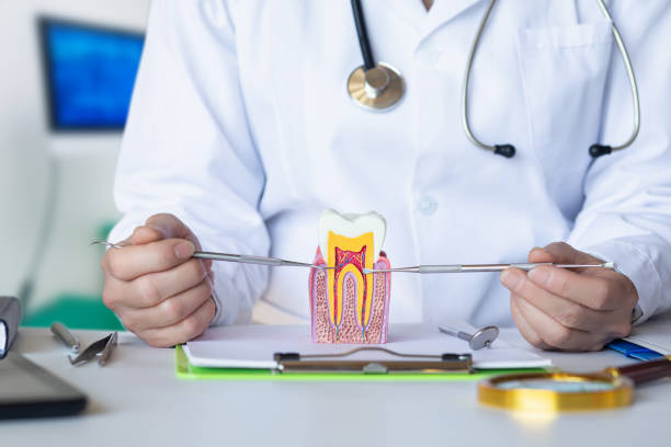 Best Emergency Orthodontic Repairs in Galls, IN